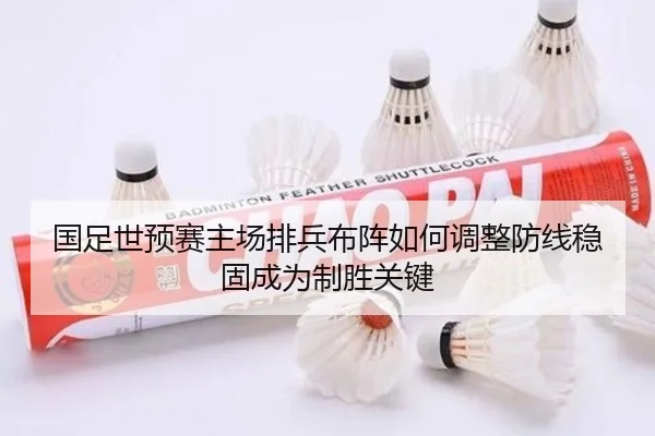 国足世预赛主场排兵布阵如何调整防线稳固成为制胜关键 - ZOSPORTS